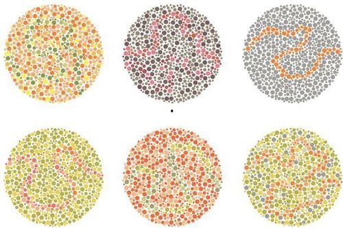 Ta的颜色,揭秘个性与情感的色彩密码