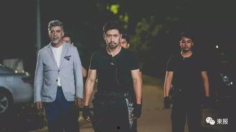 特殊保镖,揭秘特殊保镖的传奇生涯