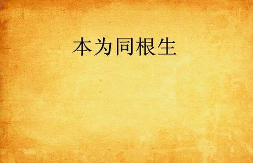 同根生,探寻文化传承与民族精神的共鸣之路