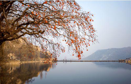 暮来晚景悔断肠