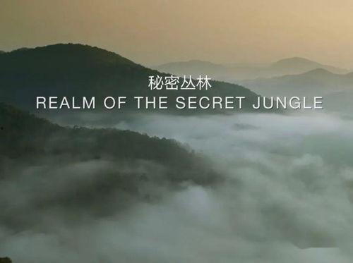 未至之境 普通话版,探寻未知世界的神秘之旅